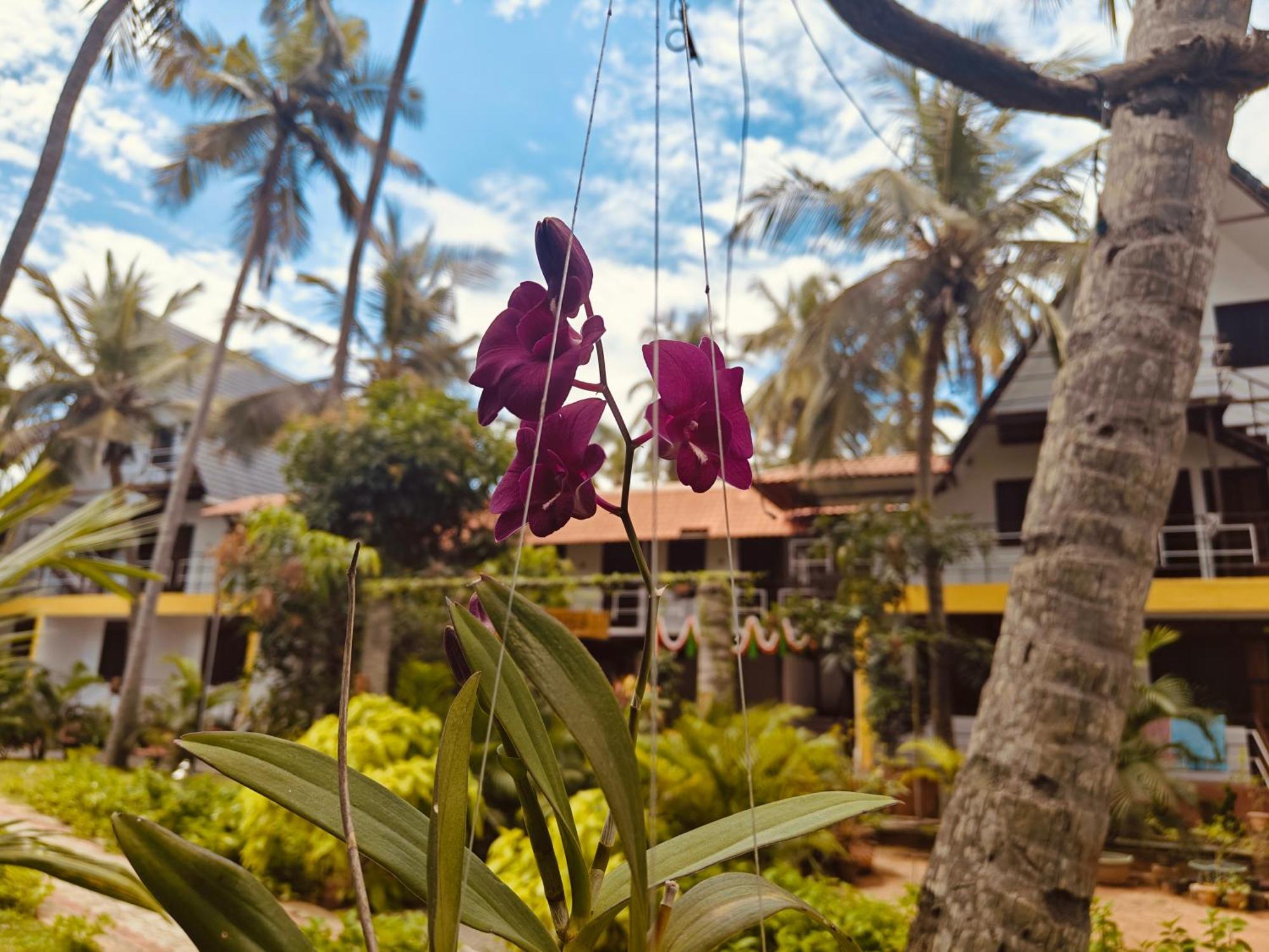 Pv Cottages - Serenity Beach Puducherry Buitenkant foto